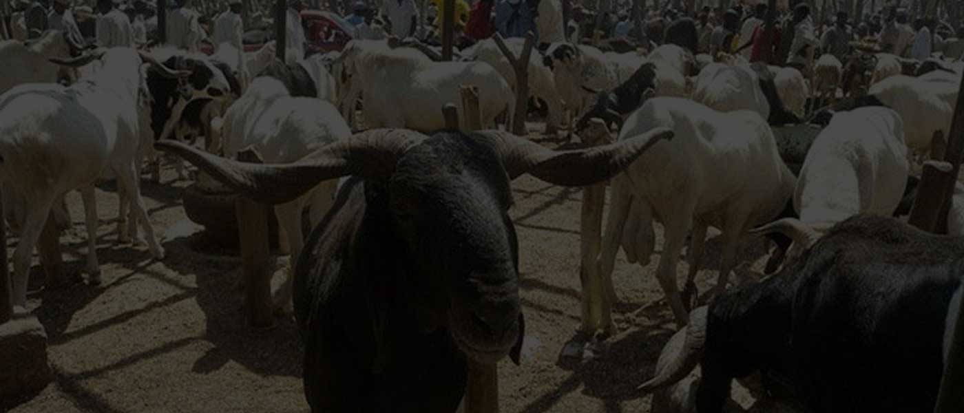 eid-BG-2